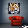 老虎20 純手繪 油畫 方形 褐白 中性色系 動物 大自然 藝術畫 掛畫 生肖 客廳 裝潢 室內設計
