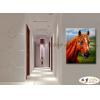 馬03 純手繪 油畫 直幅 褐綠 中性色系 動物 大自然 藝術畫 掛畫 生肖 客廳 裝潢 室內設計