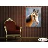 馬10 純手繪 油畫 直幅 褐灰 中性色系 動物 大自然 藝術畫 掛畫 生肖 客廳 裝潢 室內設計