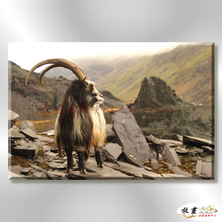 羊05 純手繪 油畫 橫幅 灰黑 中性色系 動物 大自然 藝術畫 掛畫 生肖 客廳 裝潢 室內設計