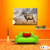 羊06 純手繪 油畫 橫幅 褐咖 中性色系 動物 大自然 藝術畫 掛畫 生肖 客廳 裝潢 室內設計