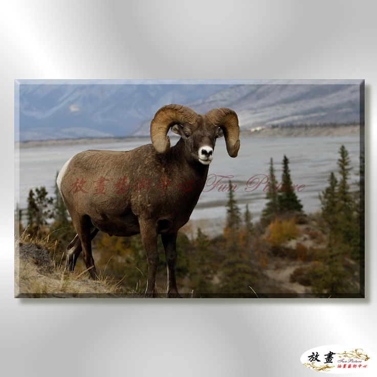 羊09 純手繪 油畫 橫幅 咖綠 中性色系 動物 大自然 藝術畫 掛畫 生肖 超寫實 裝潢 室內設計