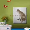 猴01 純手繪 油畫 直幅 灰褐 中性色系 動物 大自然 藝術畫 掛畫 生肖 工筆 裝潢 室內設計