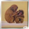 猴10 純手繪 油畫 方形 褐咖 中性色系 動物 大自然 藝術畫 掛畫 生肖 工筆 裝潢 室內設計