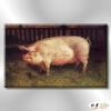 豬08 純手繪 油畫 橫幅 褐咖 中性色系 動物 大自然 藝術畫 掛畫 生肖 求運 藝術品 寫實 室內設計
