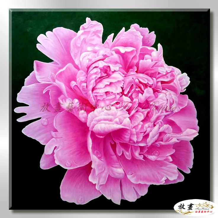 寫實牡丹M252 純手繪 油畫 方形 粉紅 暖色系 文公尺 吉祥 招財 風水 命理 花卉 藝品 超寫實