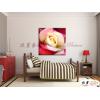 玫瑰255 純手繪 油畫 方形 粉紅 暖色系 寫實 掛畫 無框畫 民宿 室內設計 居家佈置
