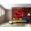 玫瑰256 純手繪 油畫 方形 紅色 暖色系 寫實 掛畫 無框畫 民宿 室內設計 居家佈置
