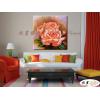 玫瑰270 純手繪 油畫 方形 粉紅 暖色系 寫實 掛畫 無框畫 民宿 室內設計 居家佈置