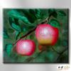 蘋果ST169 純手繪 油畫 橫幅 紅綠 中性色系 無框畫 圓圓滿滿 平安大吉 鴻運當頭 餐廳